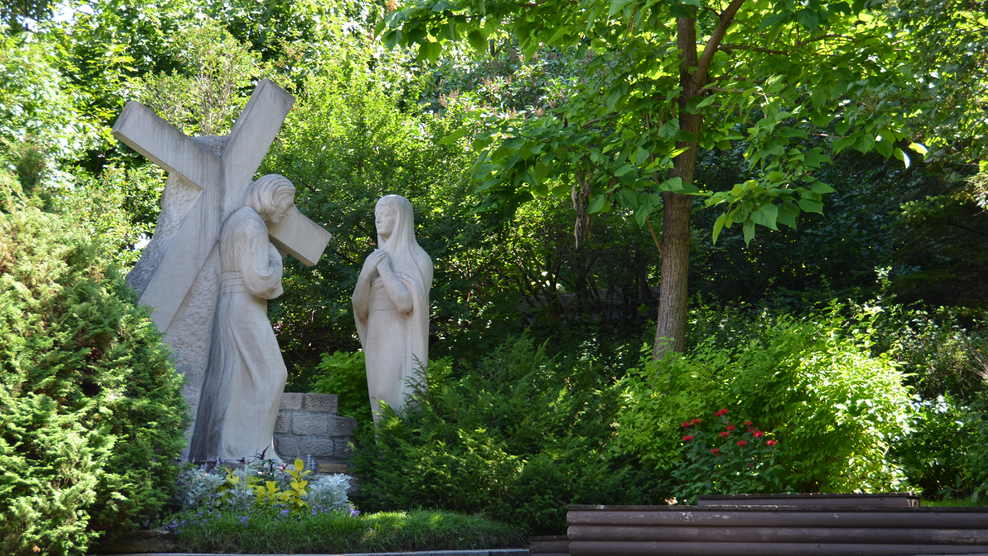 Mary in the Midst of our Sorrow